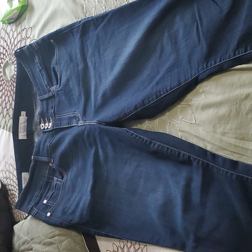 Capris Size 20 from torrid